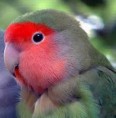 /album/fotogaleria-inicio/images-3-jpg/